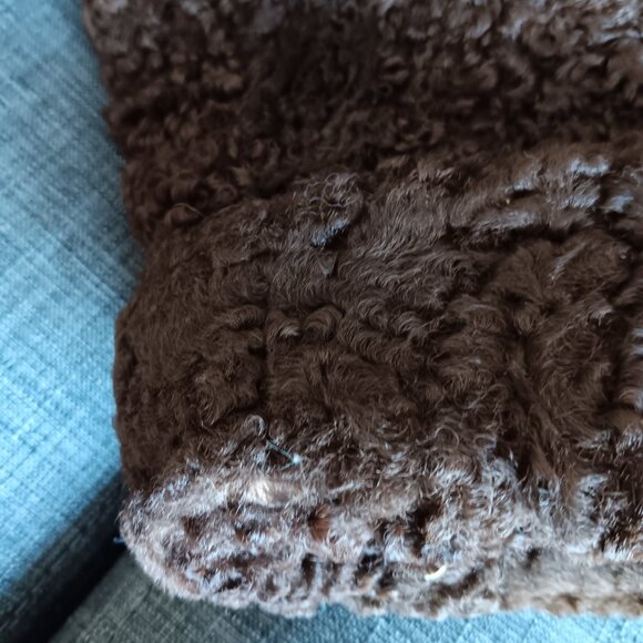 Vintage Dark Brown Persian Lamb Stroller Coat Jacket Fur Collar Faux Pockets 60s - Picture 15 of 16